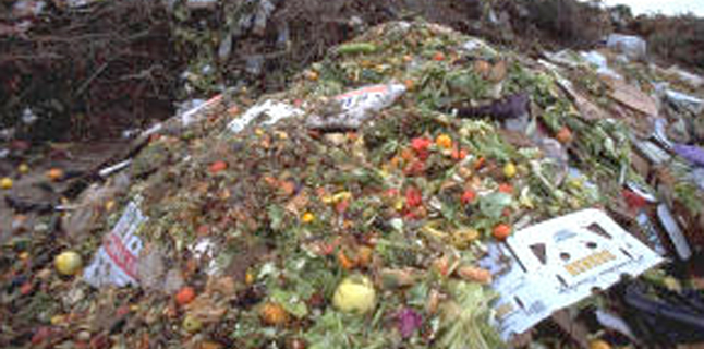 Metade da comida produzida no mundo vai pro lixo!